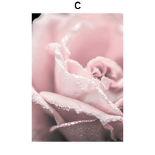 Load image into Gallery viewer, Pink Petal Dahlia Daisy Rose Nature Plant Nordic Posters And Prints Wall Art Canvas Painting Pictures For Home Design Bedroom - SallyHomey Life's Beautiful