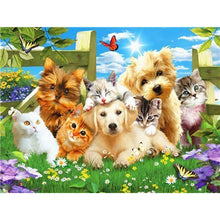 Load image into Gallery viewer, DIY 5D Diamond Painting Farm Animal Cat Diamond Embroidery Mosaic Rhinestone Full Round Drill Cross Stitch Kits Decor Home