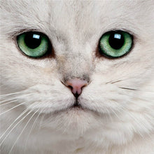 Load image into Gallery viewer, DIY 5D Diamond Painting Cat Face Animal Mosaic Diamond Embroidery Cross Stitch Full Round Rhinestone Art Wall Sticker Home Decor - SallyHomey Life's Beautiful