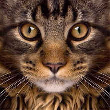 Load image into Gallery viewer, DIY 5D Diamond Painting Cat Face Animal Mosaic Diamond Embroidery Cross Stitch Full Round Rhinestone Art Wall Sticker Home Decor - SallyHomey Life's Beautiful