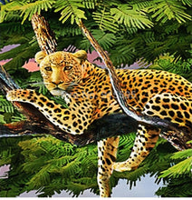Load image into Gallery viewer, 3D Cartoon Lion Zebra  Wall Painting - SallyHomey Life's Beautiful