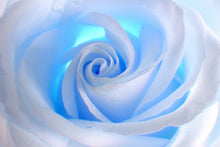 Load image into Gallery viewer, 3D  Art Home Decor - SallyHomey Life's Beautiful