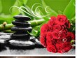 Load image into Gallery viewer, Kitchen Picture 3D Diamond Painting Cross-Stitch Mosaic Kits Wall Decor - SallyHomey Life's Beautiful