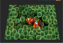 Load image into Gallery viewer, world clownfish floor - SallyHomey Life's Beautiful