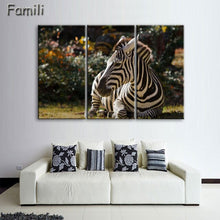 Load image into Gallery viewer, 3 Pcs/Set Animal Zebra Paintings Large Canvas Paintings vertical forms Wall Art Picture Home Decoration Canvas Painting 3 Pieces