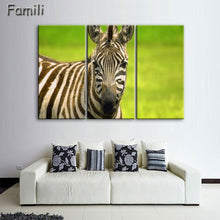 Load image into Gallery viewer, 3 Pcs/Set Animal Zebra Paintings Large Canvas Paintings vertical forms Wall Art Picture Home Decoration Canvas Painting 3 Pieces