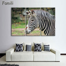 Load image into Gallery viewer, 3 Pcs/Set Animal Zebra Paintings Large Canvas Paintings vertical forms Wall Art Picture Home Decoration Canvas Painting 3 Pieces