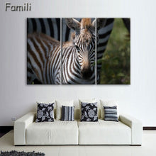 Load image into Gallery viewer, 3 Pcs/Set Animal Zebra Paintings Large Canvas Paintings vertical forms Wall Art Picture Home Decoration Canvas Painting 3 Pieces