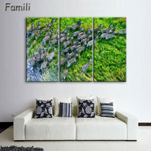 Load image into Gallery viewer, 3 Pcs/Set Animal Zebra Paintings Large Canvas Paintings vertical forms Wall Art Picture Home Decoration Canvas Painting 3 Pieces