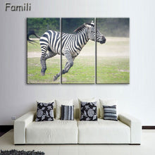 Load image into Gallery viewer, 3 Pcs/Set Animal Zebra Paintings Large Canvas Paintings vertical forms Wall Art Picture Home Decoration Canvas Painting 3 Pieces