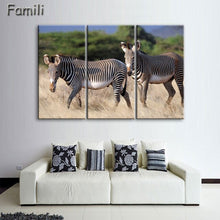 Load image into Gallery viewer, 3 Pcs/Set Animal Zebra Paintings Large Canvas Paintings vertical forms Wall Art Picture Home Decoration Canvas Painting 3 Pieces