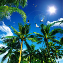 Load image into Gallery viewer, Blue Sky And White Clouds Coconut Trees Seagull for your  Ceiling - SallyHomey Life's Beautiful