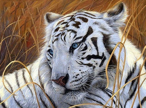 DIY Tiger 5D Diamond Painting Forest Tiger Diamond Embroidery Animal Cross Stitch Full Round Drill Home Decor Gift - SallyHomey Life's Beautiful