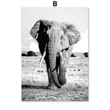 Load image into Gallery viewer, Lion Elephant Leopard Tropical Plant Wall Art Canvas Painting Nordic Posters And Prints Wall Pictures For Living Room Home Decor - SallyHomey Life&#39;s Beautiful