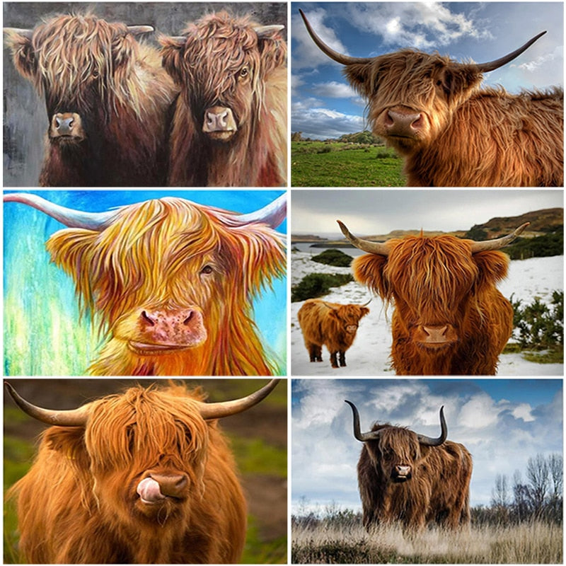 DIY 5D Diamond Painting Animal Highland Cow Diamond Embroidery Cross Stitch Full Round Drill Rhinestone Wall Craft Sticker - SallyHomey Life's Beautiful