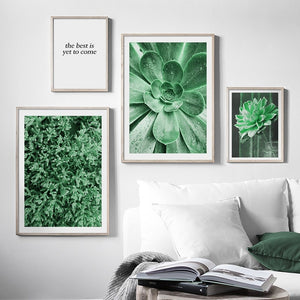 Nature Green Leaves Succulent Plants Wall Art Canvas Painting Nordic Posters And Prints Wall Pictures For Living Room Decor - SallyHomey Life's Beautiful
