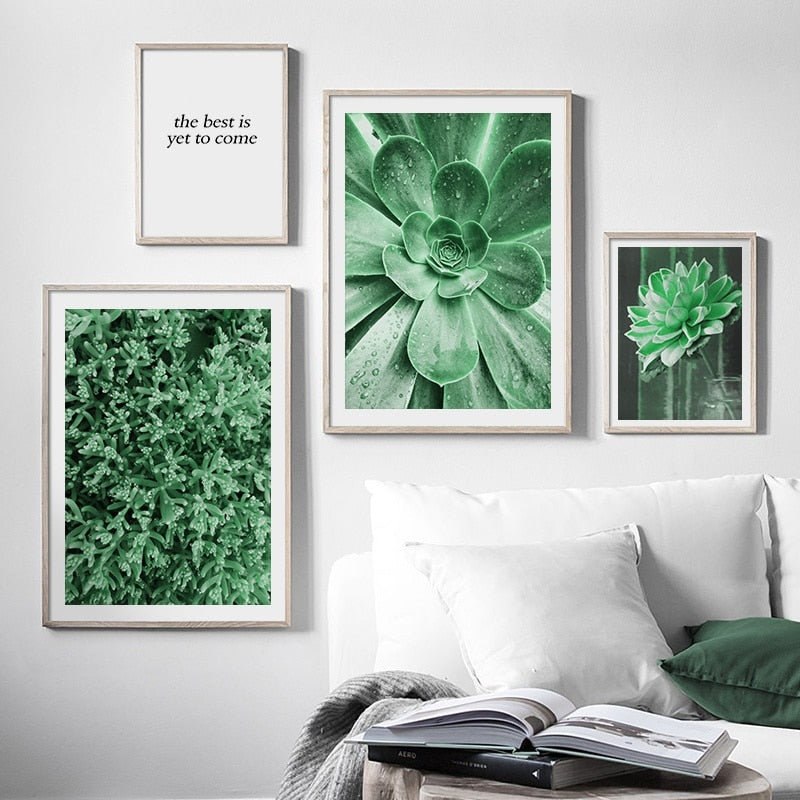 Nature Green Leaves Succulent Plants Wall Art Canvas Painting Nordic Posters And Prints Wall Pictures For Living Room Decor - SallyHomey Life's Beautiful