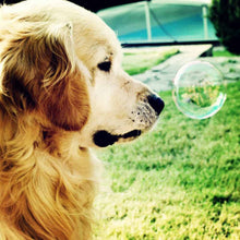 Load image into Gallery viewer, DIY 5D Diamond Painting Dog Animal Pattern Diamond Embroidery Cross Stitch Kits Handmade Full Round Rhinestone Mosaic Decor Art - SallyHomey Life&#39;s Beautiful