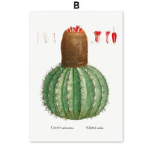 Load image into Gallery viewer, Cactus Sempervivum Flower Plant Wall Art Canvas Painting Nordic Posters And Prints Plants Wall Pictures For Living Room Decor - SallyHomey Life&#39;s Beautiful