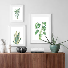 Load image into Gallery viewer, Monstera Cactus Leaves Tropical Plants Wall Art Canvas Painting Nordic Posters And Prints Wall Pictures For Living Room Decor - SallyHomey Life&#39;s Beautiful