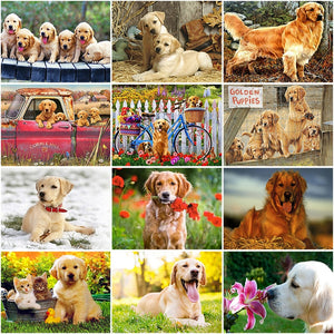 DIY 5D Diamond Painting Dog Diamond Embroidery Golden Retriever Dogs Animal Mosaic Cross Stitch Full Round Rhinestone Child Gift - SallyHomey Life's Beautiful