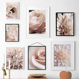 Pink Dahlia Close Up Poster Blooming Rose Nordic Posters And Prints Wall Art Canvas PaintingWall Pictures For Living Room Decor - SallyHomey Life's Beautiful