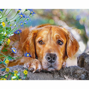 DIY 5D Diamond Painting Dog Diamond Embroidery Golden Retriever Dogs Animal Mosaic Cross Stitch Full Round Rhinestone Child Gift - SallyHomey Life's Beautiful