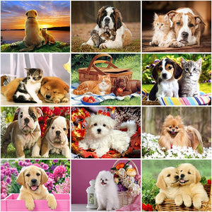 DIY 5D Diamond Painting Dog Cross Stitch Diamond Embroidery Sale Full Round Drill Animal Mosaic Rhinestones Art Wall Hobby Decor - SallyHomey Life's Beautiful