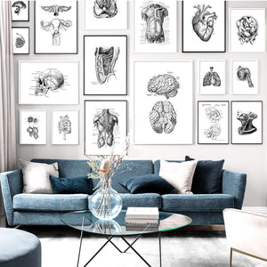 Black And White Brain Heart Skull kidney Anatomy Wall Art Canvas Painting Nordic Posters And Prints Wall Pictures Office Decor - SallyHomey Life's Beautiful