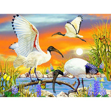 Load image into Gallery viewer, DIY 5D Diamond Painting Crane Animal Mosaic Cross Stitch Full Round Drill Diamond Embroidery Rhinestones Picture Decor Home