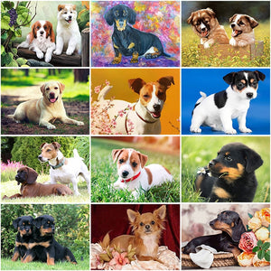 5D Diamond Painting Dog Cute Pet Cross Stitch Animal Diamond Embroidery Mosaic Full Round Drill Rhinestone Decor Home - SallyHomey Life's Beautiful