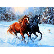 Load image into Gallery viewer, 5D Diamond Painting Cross Stitch Diy Horse Full Round Diamond Embroidery Animals Picture Mosaic Kits Wall Home Decor - SallyHomey Life&#39;s Beautiful