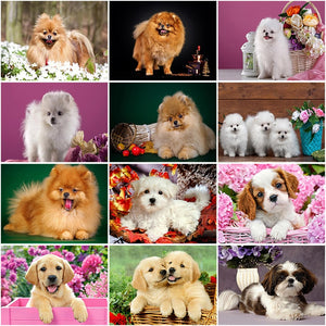 DIY 5D Diamond Painting Dog Animal Diamond Embroidery Cross Stitch Rhinestone Picture Mosaic Full Round Drill Manual Hobby Gift