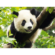 Load image into Gallery viewer, 5D Diamond Painting Panda Green Bamboo Animal Round Full Drill Cartoon Children DIY Mosaic Embroidery Cross Stitch Rhinestone