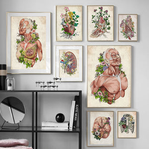Anatomy Muscle Flower Vintage Poster Wall Art Canvas Painting Nordic Posters And Prints Wall Pictures For Doctor Office Decor - SallyHomey Life's Beautiful