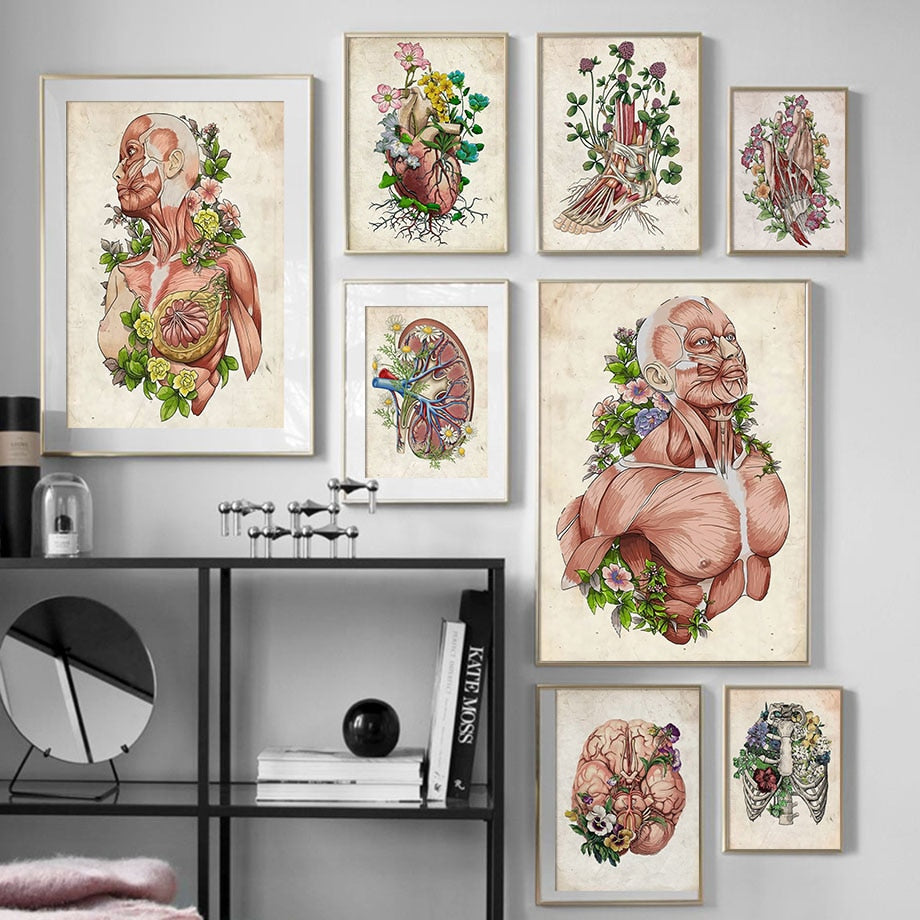 Anatomy Muscle Flower Vintage Poster Wall Art Canvas Painting Nordic Posters And Prints Wall Pictures For Doctor Office Decor - SallyHomey Life's Beautiful