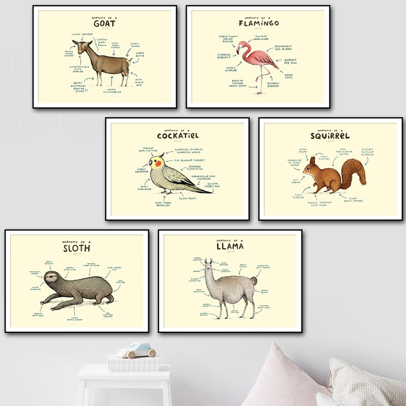 Flamingo Fox Sloth Sheep Animal Anatomy Wall Art Canvas Painting Nordic Posters And Prints Wall Pictures For Living Room Decor - SallyHomey Life's Beautiful
