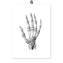Load image into Gallery viewer, Skeleton Muscle Fingers Eye Black And White Anatomy Wall Art Canvas Painting Nordic Posters And Prints Wall Pictures Decor - SallyHomey Life&#39;s Beautiful