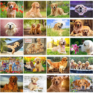 DIY 5D Diamond Painting Animal Diamond Embroidery Golden Retriever Dog Cross Stitch Full Round Drill Picture Mosaic Rhinestone - SallyHomey Life's Beautiful