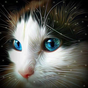 DIY 5D Diamond Painting Cat Eye Cross Stitch Diamond Embroidery Sale Animal Mosaic Rhinestones Full Drill Drill Handmade Decor - SallyHomey Life's Beautiful