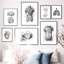 Load image into Gallery viewer, Black And White Brain Heart Skull kidney Anatomy Wall Art Canvas Painting Nordic Posters And Prints Wall Pictures Office Decor - SallyHomey Life&#39;s Beautiful