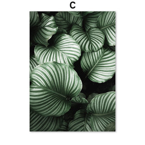 Green Monstera Banana Palm Leaf Wall Art Canvas Painting Nordic Posters And Prints Plants Wall Pictures For Living Room Decor - SallyHomey Life's Beautiful