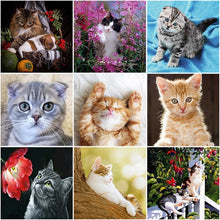 Load image into Gallery viewer, DIY 5D Diamond Painting Cat Mosaic Animal Cross Stitch Kit Full Round Drill Diamond Embroidery Rhinestone Art Wall Sticker Decor