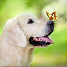 Load image into Gallery viewer, DIY 5D Diamond Painting Dog Animal Pattern Diamond Embroidery Cross Stitch Kits Handmade Full Round Rhinestone Mosaic Decor Art - SallyHomey Life&#39;s Beautiful
