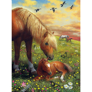 5D Diamond Painting Horse Mosaic Full Round Drill Rhinestones Daimond Embroidery Cross Stitch Rhinestone Animal Wall Decor - SallyHomey Life's Beautiful