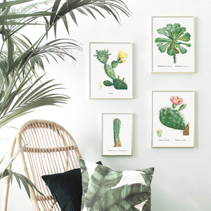 Cactus Sempervivum Flower Plant Wall Art Canvas Painting Nordic Posters And Prints Plants Wall Pictures For Living Room Decor - SallyHomey Life's Beautiful