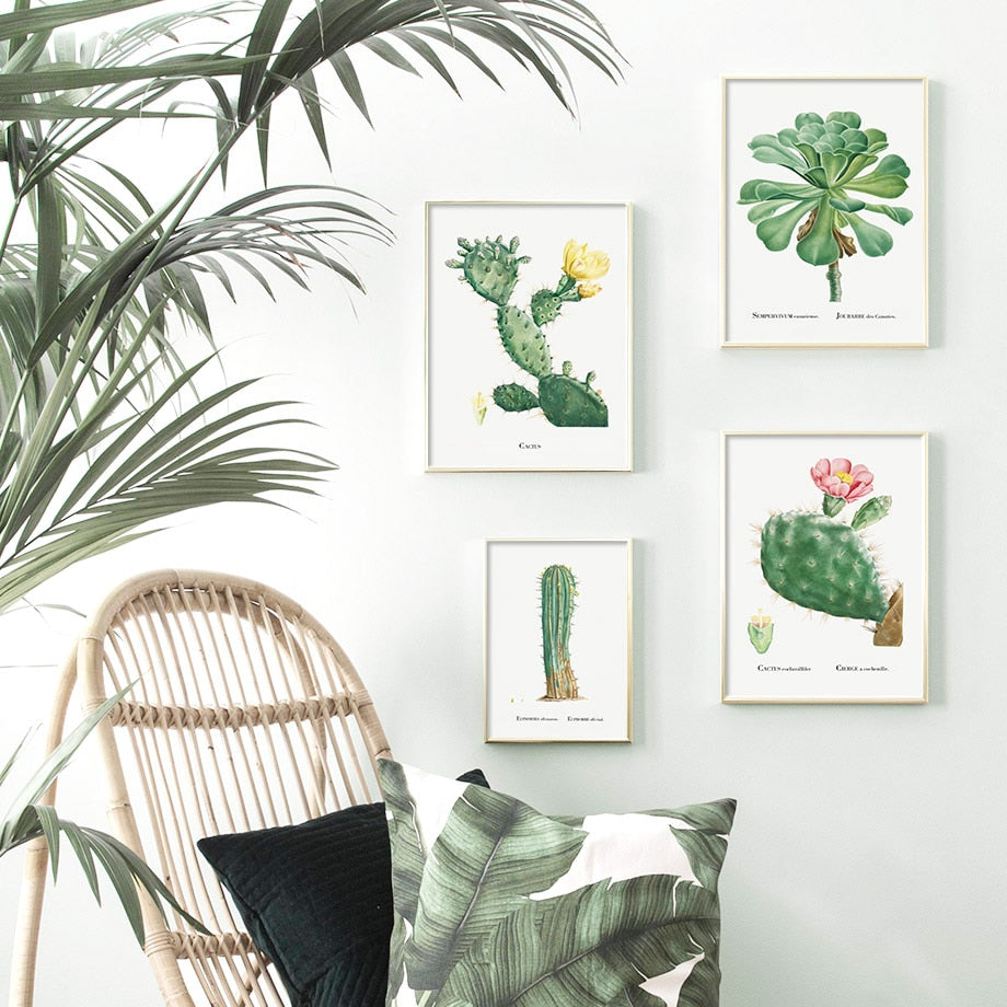 Cactus Sempervivum Flower Plant Wall Art Canvas Painting Nordic Posters And Prints Plants Wall Pictures For Living Room Decor - SallyHomey Life's Beautiful