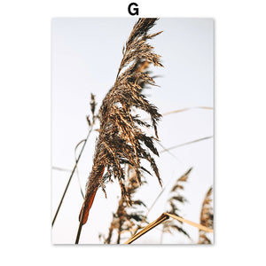 Abstract Reed Grass Leaves House Lamb Nordic Posters And Prints Wall Art Canvas Painting Wall Pictures For Living Room Decor - SallyHomey Life's Beautiful