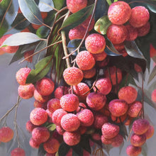 Load image into Gallery viewer, 100% Hand Painted Realistic Litchi Art Oil Painting On Canvas Wall Art Frameless Picture Decoration For Live Room Home Deco Gift