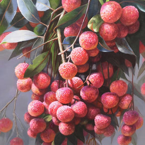 100% Hand Painted Realistic Litchi Art Oil Painting On Canvas Wall Art Frameless Picture Decoration For Live Room Home Deco Gift